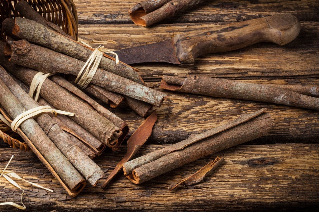 Cinnamon Bark Oil