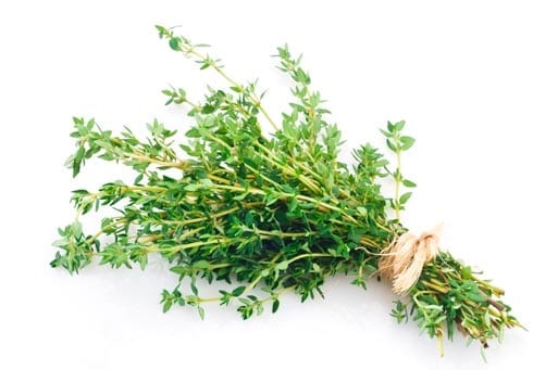 Thyme Oil Red whitespace