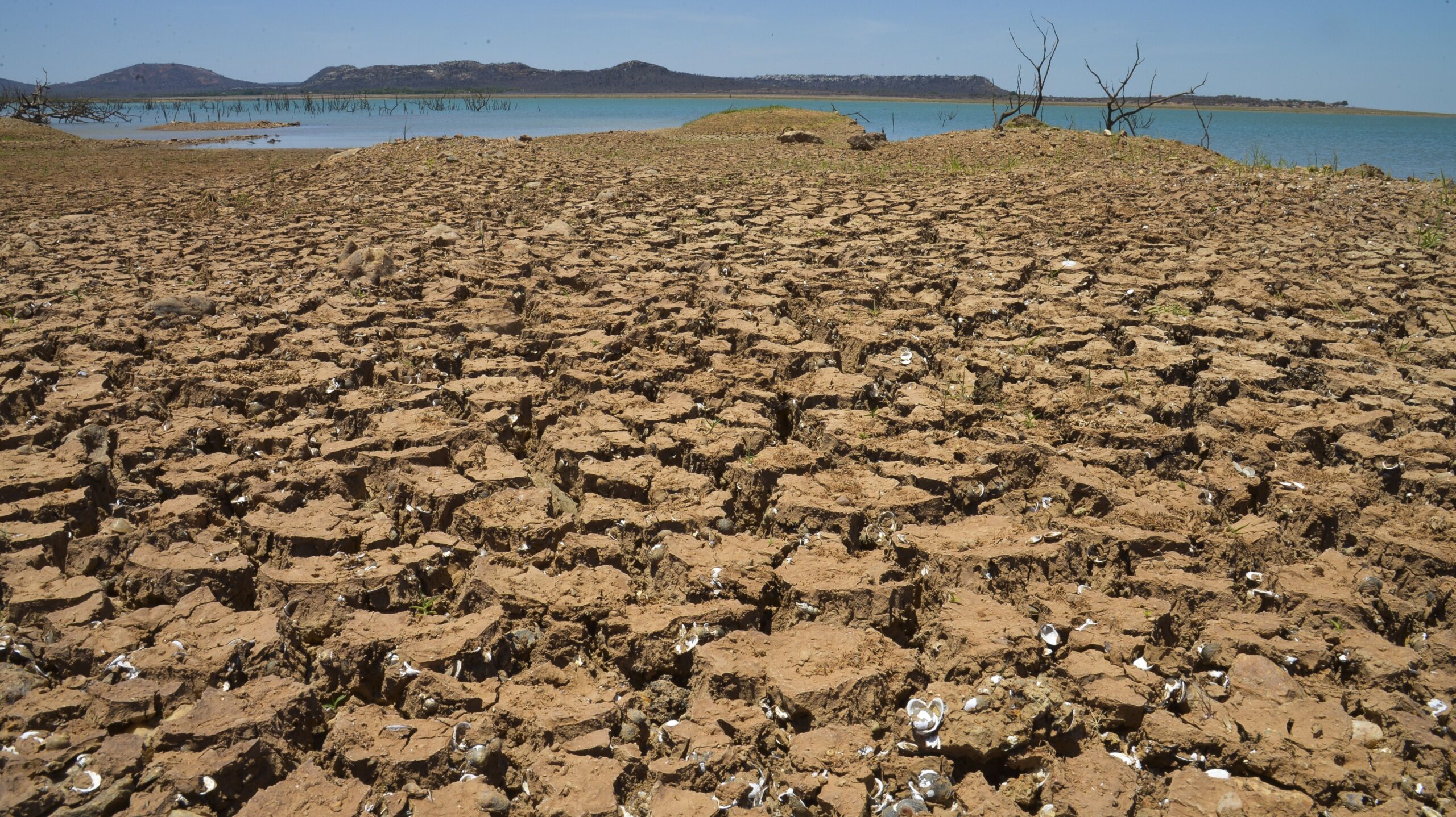 Berjé Barometer – Brazil’s 2021 Drought